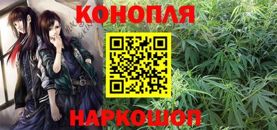 МДПВ Новокубанск