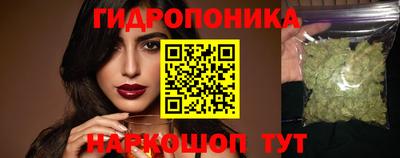 МДПВ Новокубанск